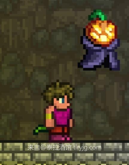 泰拉瑞亚时装搭配展示