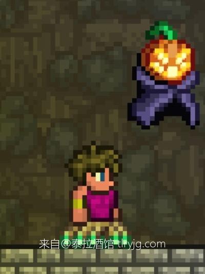 泰拉瑞亚时装搭配展示