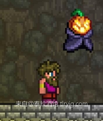 泰拉瑞亚时装搭配展示