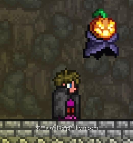 泰拉瑞亚时装搭配展示