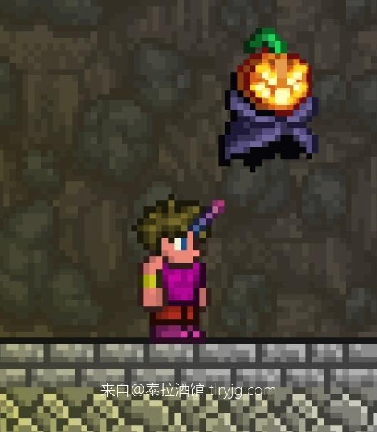 泰拉瑞亚时装搭配展示