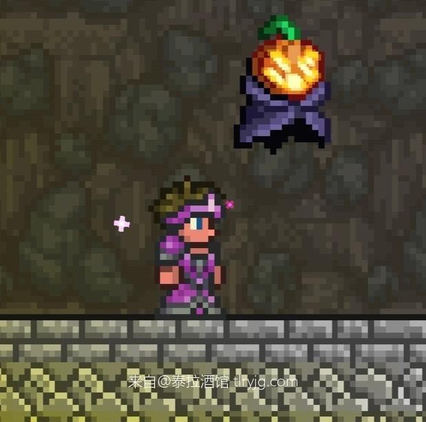 泰拉瑞亚时装搭配展示