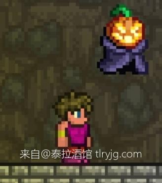 泰拉瑞亚时装搭配展示