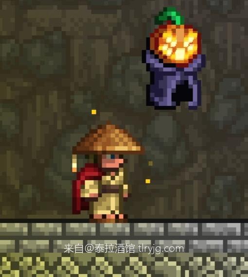 泰拉瑞亚时装搭配展示