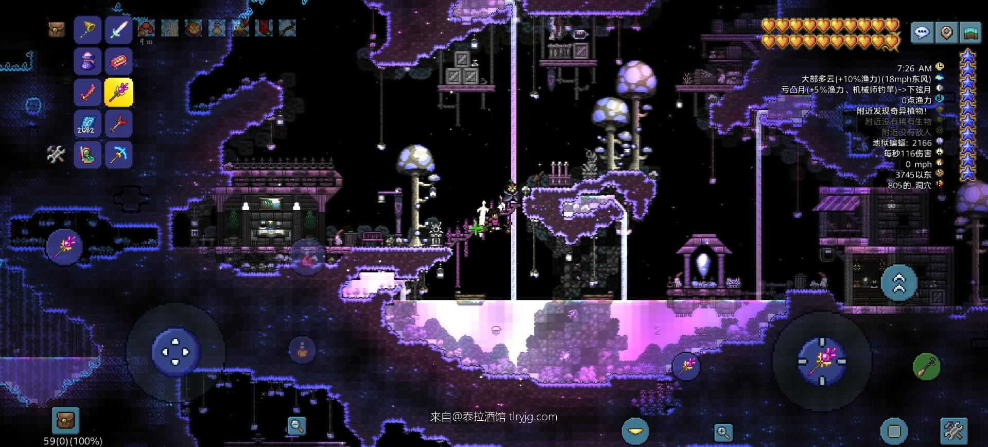 泰拉瑞亚时装搭配展示