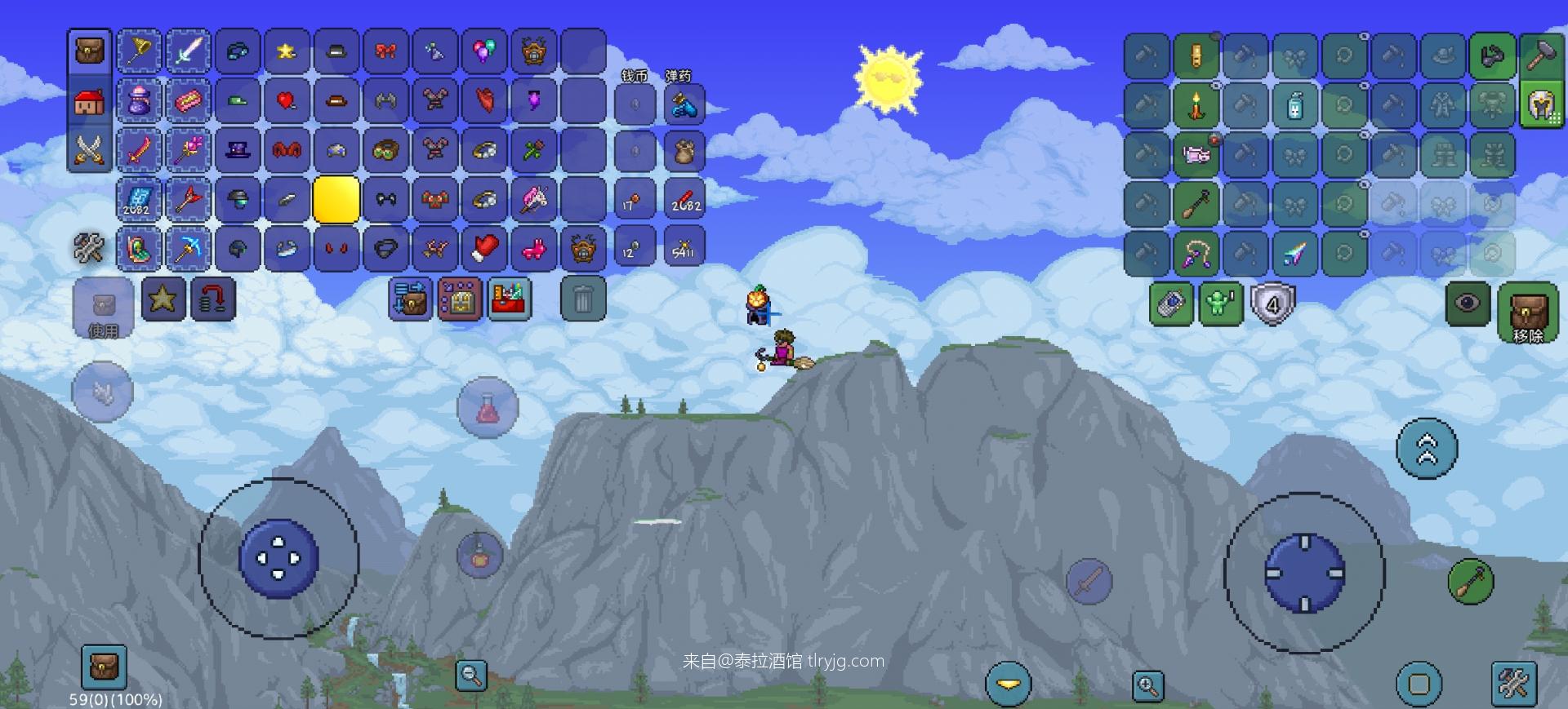 泰拉瑞亚时装搭配展示