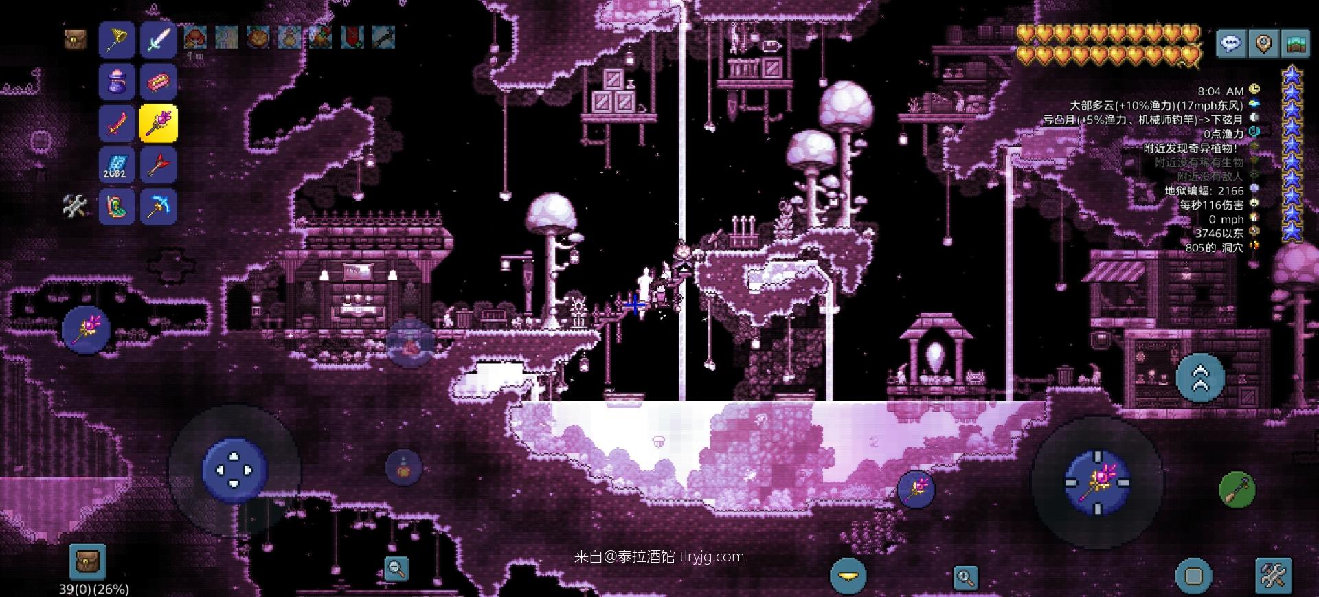 泰拉瑞亚时装搭配展示