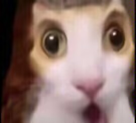 2025年12月31日:泰拉酒馆7周年之际,重大版本更新公告! 2025年12月31日:泰拉酒馆7周年之际,重大版本更新公告!