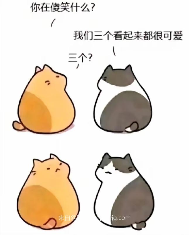 2025年12月31日:泰拉酒馆7周年之际,重大版本更新公告! 2025年12月31日:泰拉酒馆7周年之际,重大版本更新公告!