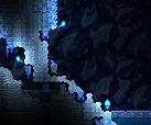 冰雪生物群系