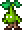 幼苗