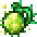 孢子囊