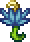 奥术花