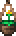吊挂草药