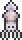 乌贼