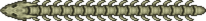 骨蛇