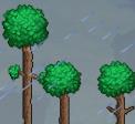 雷雨