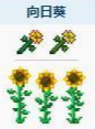 用户头像-Sunflower