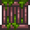 丛林匣
