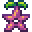 星之果实